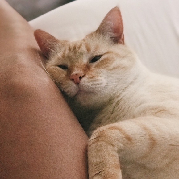 Hey, I’m Kate! 🙋🏼♀️ Welcome to my closet! - Picture 7 of 8